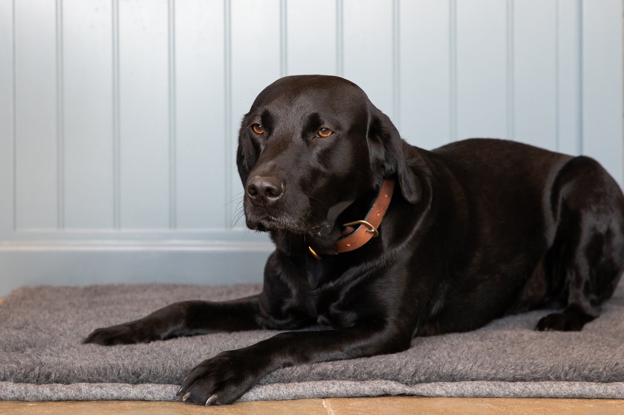 Slate Grey Bespoke Dog Roll Mat