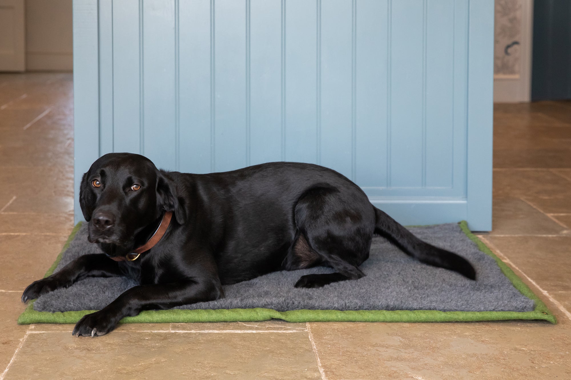 Apple Green Bespoke Dog Roll Mat