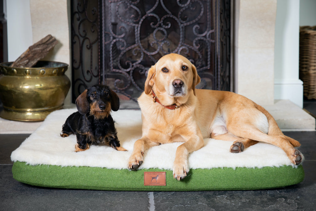 Apple Green Bespoke Dog Mat