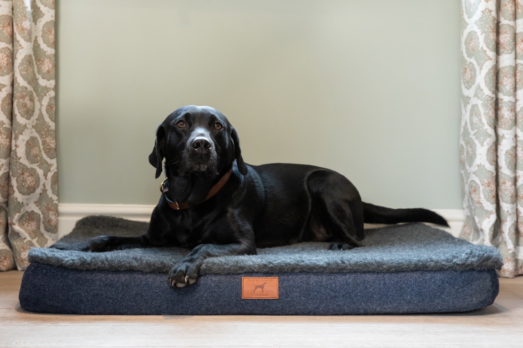 Cobalt Blue Bespoke Dog Mat