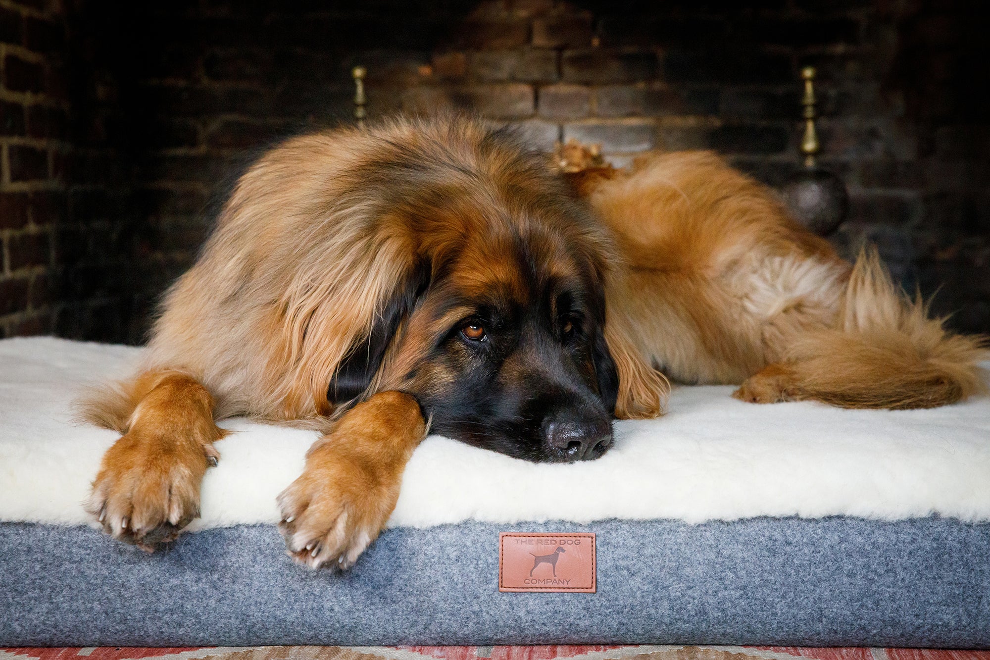Apple Green Giant Dog Mat