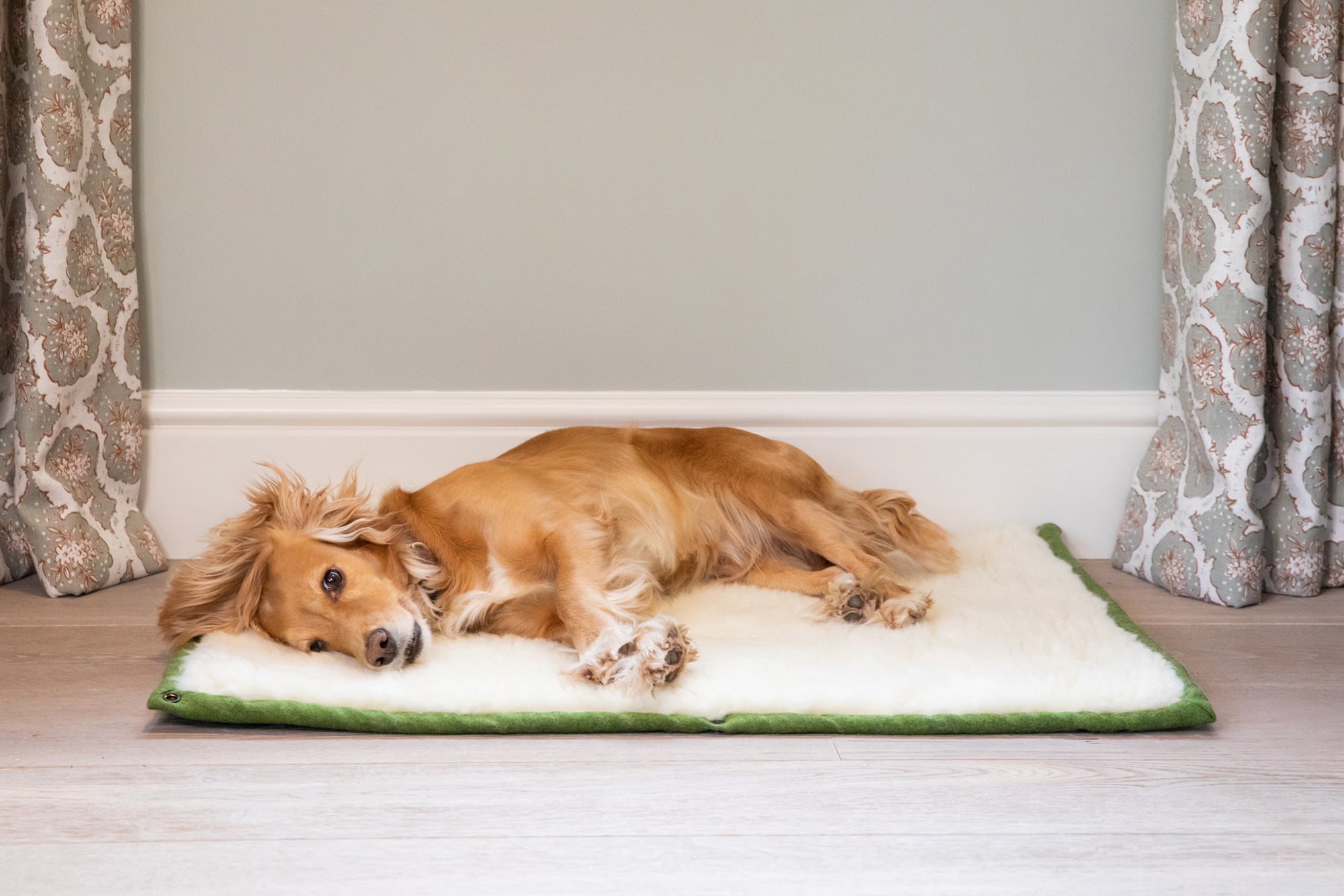 Apple Green Bespoke Dog Roll Mat