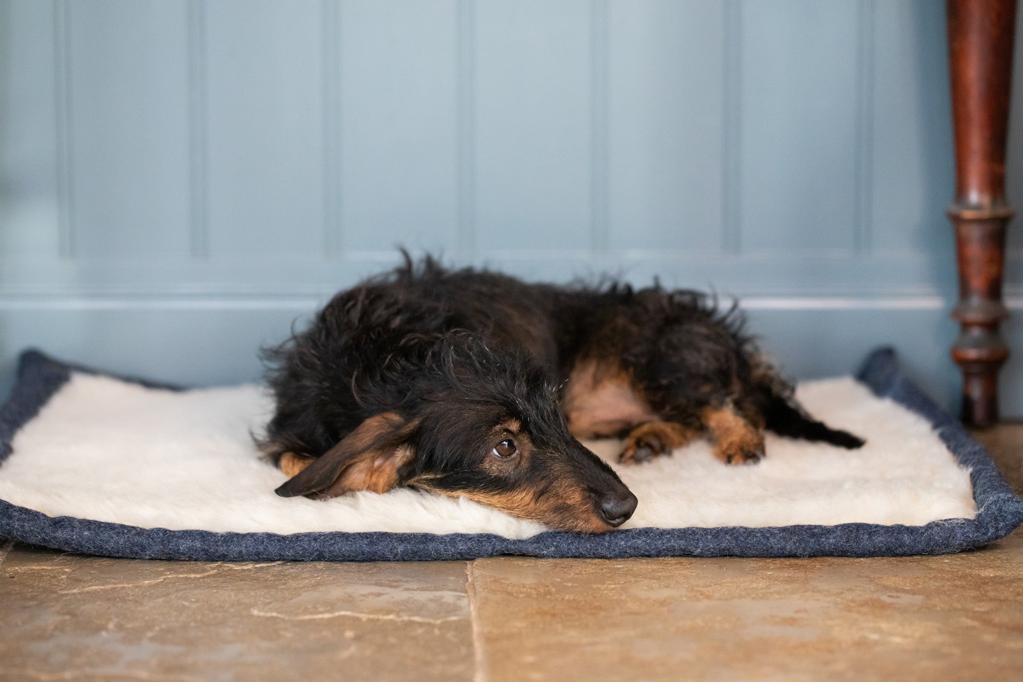 Cobalt Blue Bespoke Dog Roll Mat