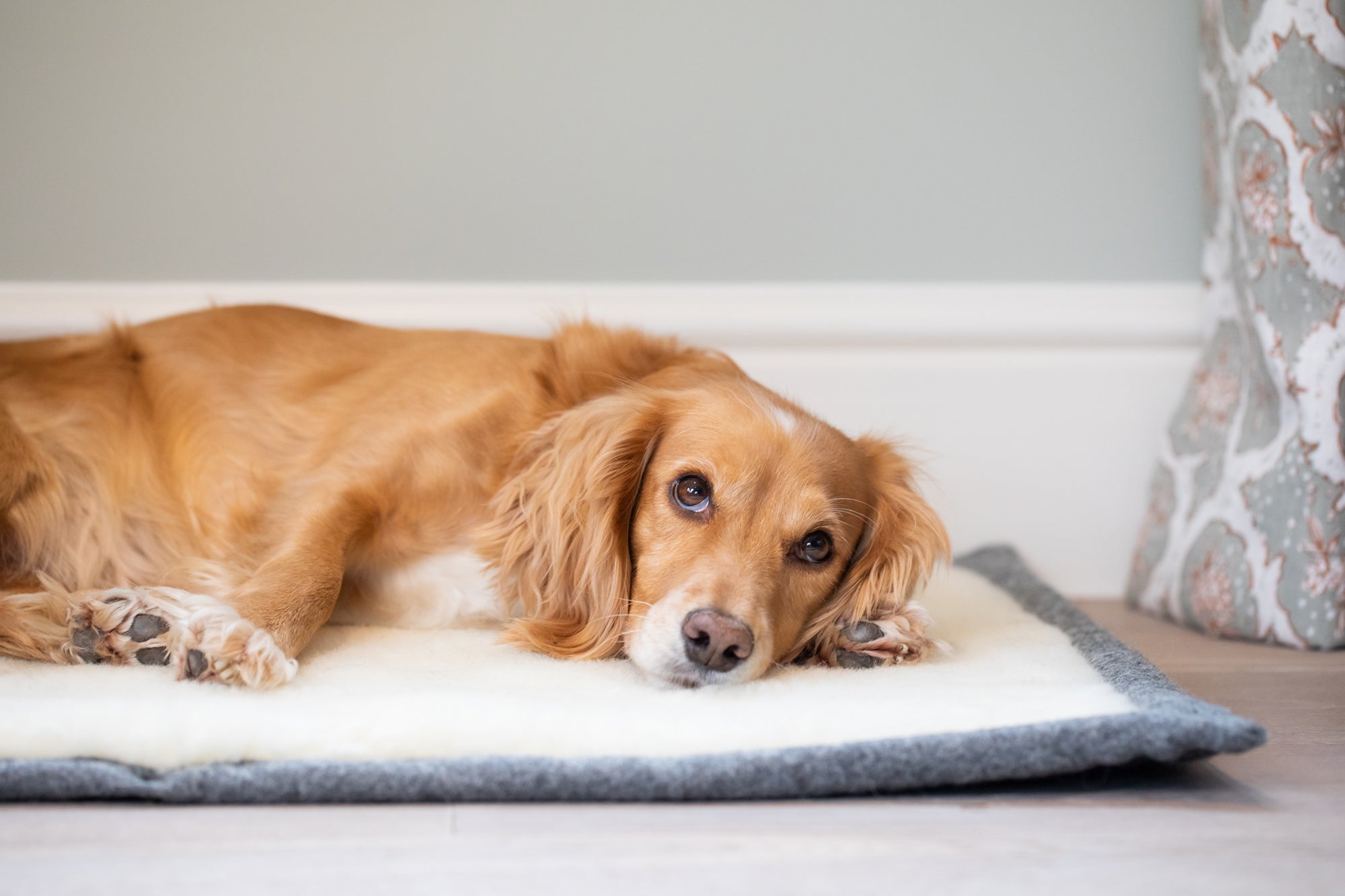 Slate Grey Bespoke Dog Roll Mat