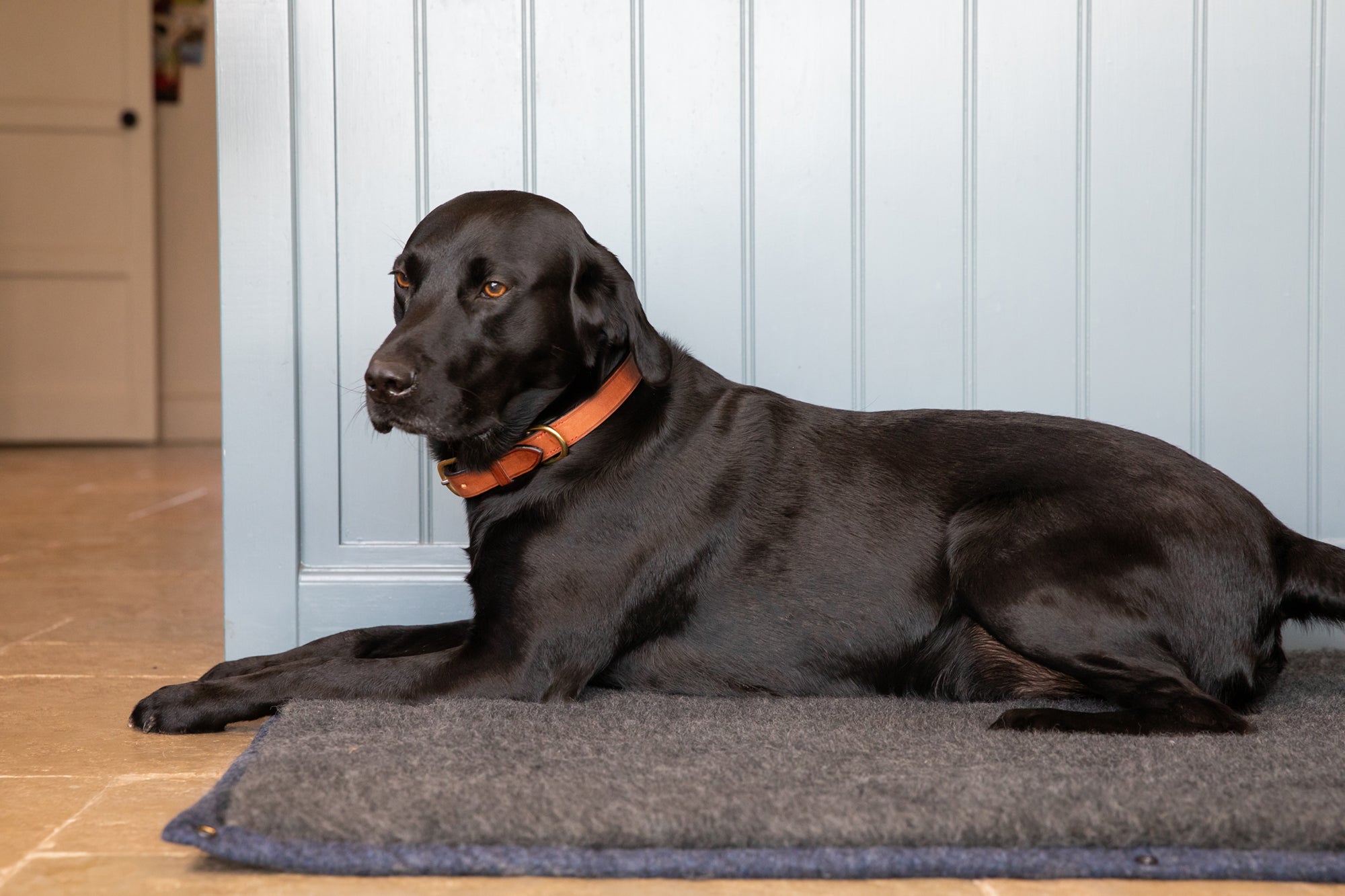 Cobalt Blue Bespoke Dog Roll Mat