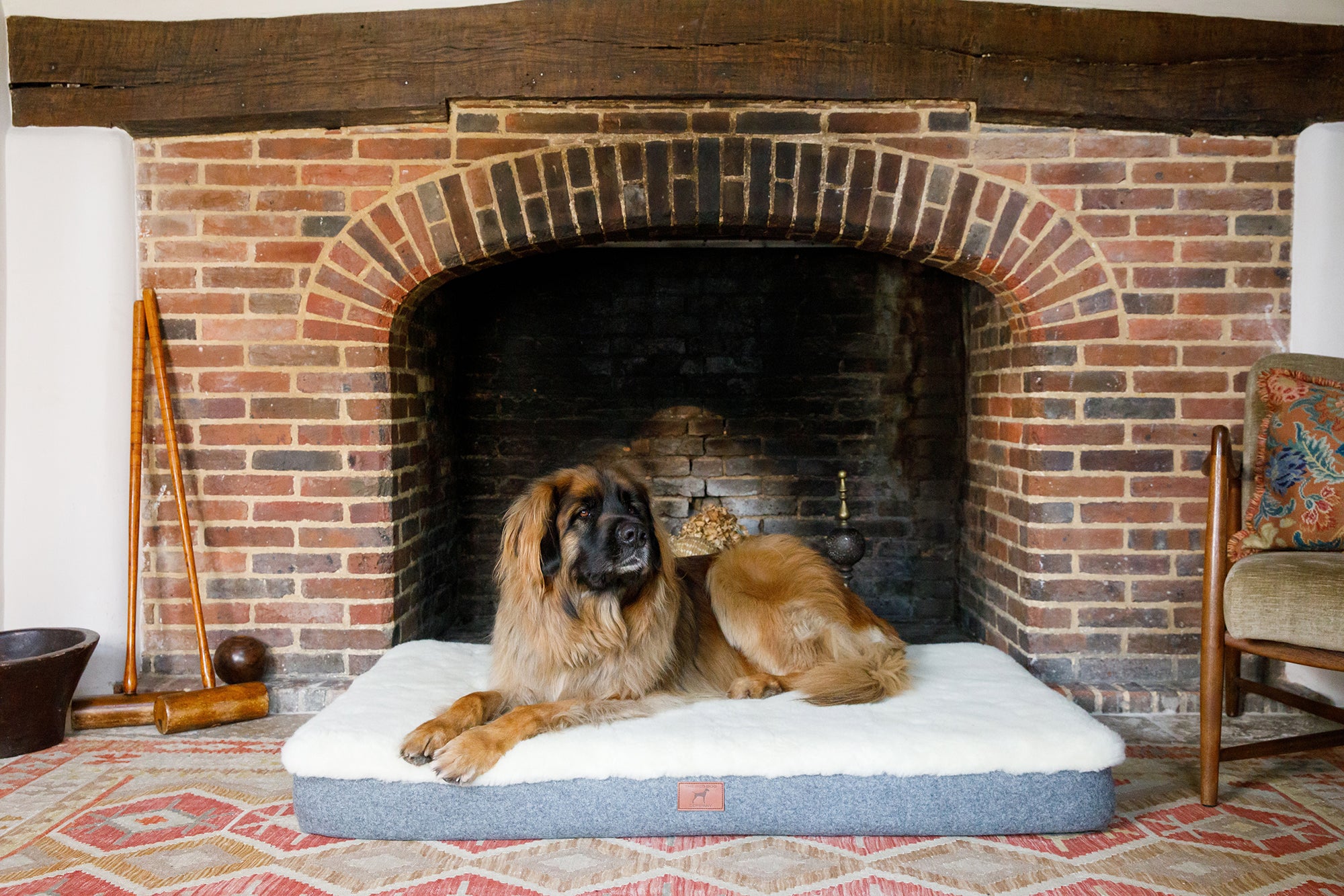 Cobalt Blue Giant Dog Mat