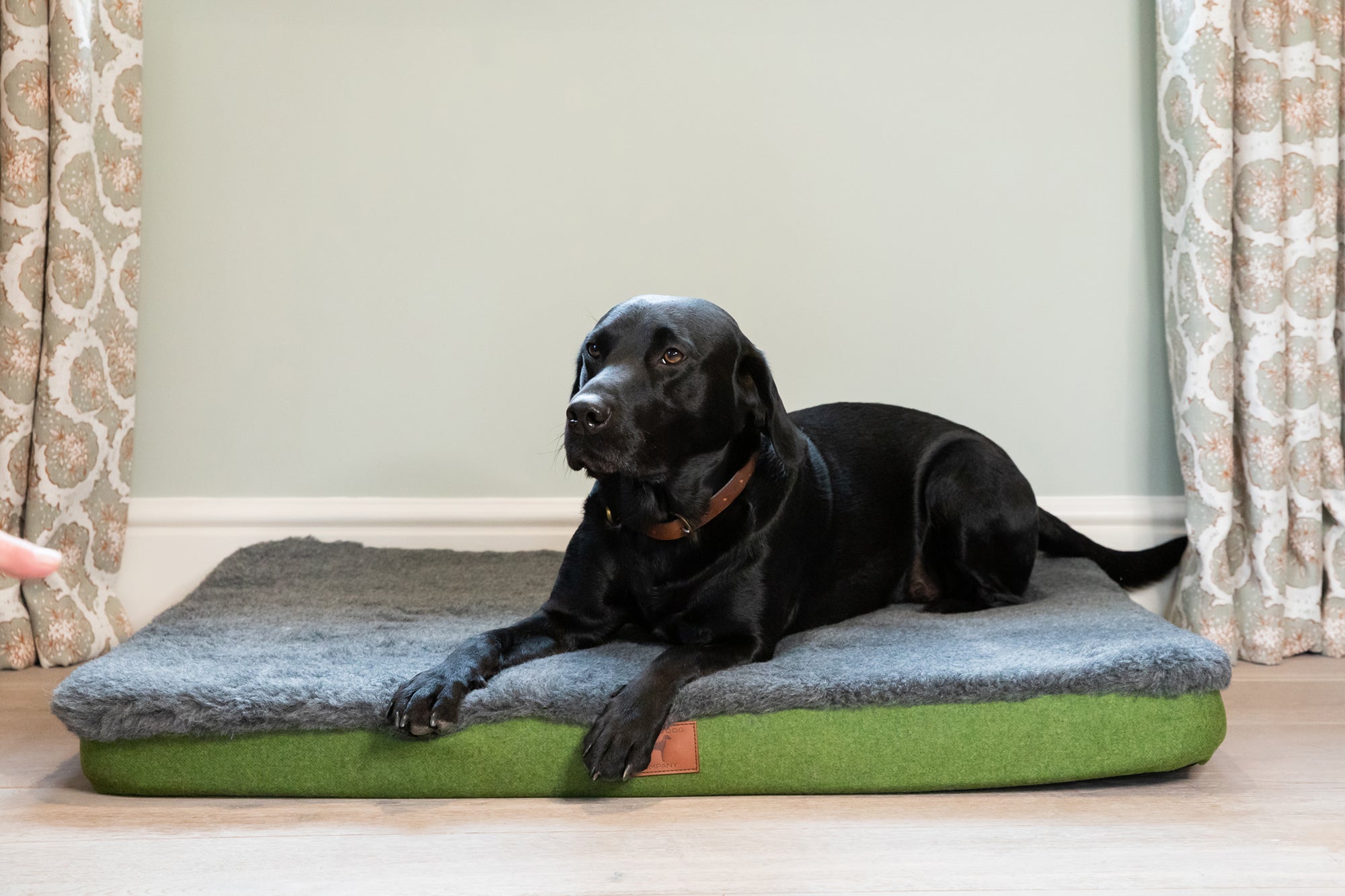 Apple Green Bespoke Dog Mat