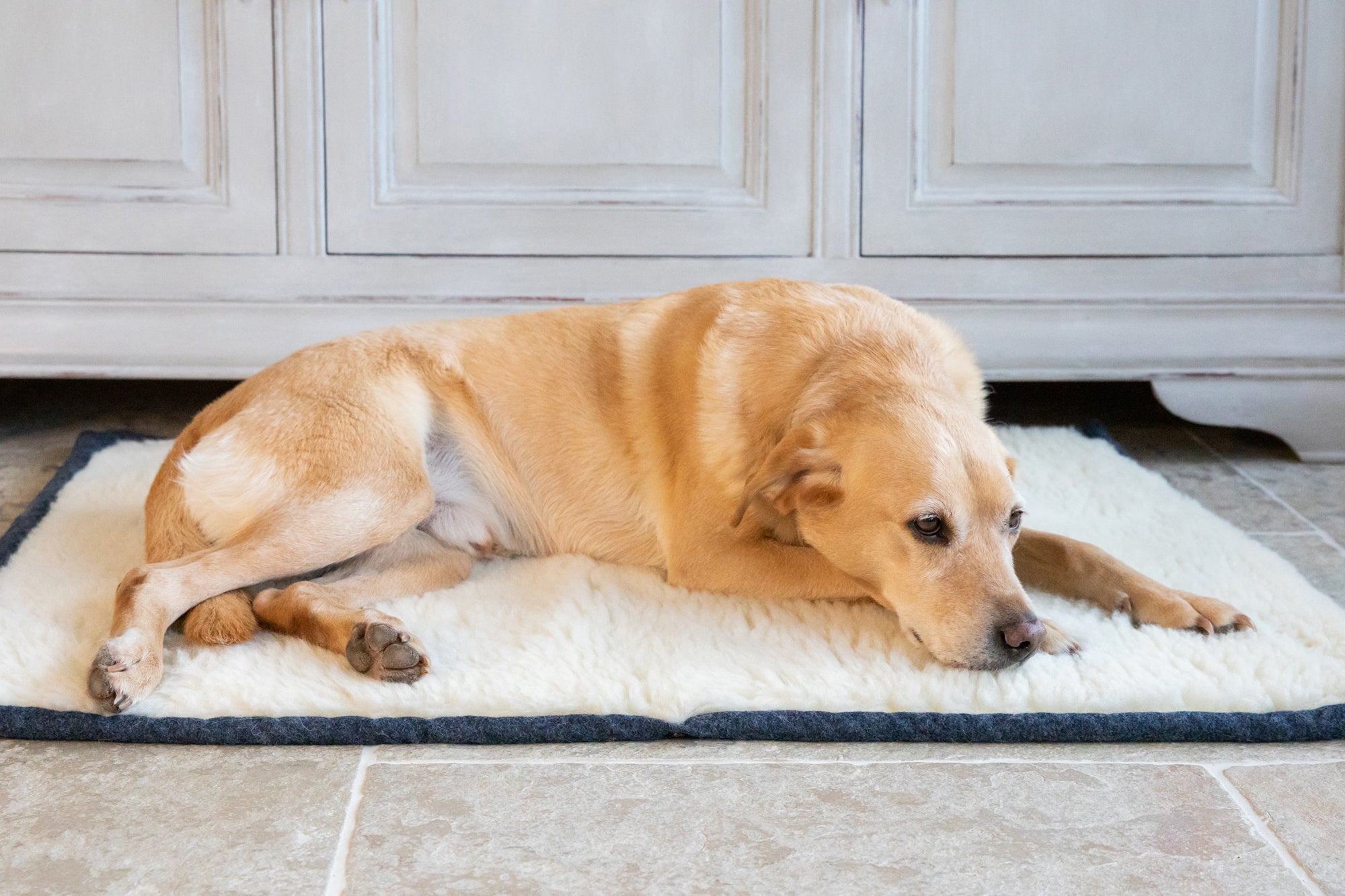 Cobalt Blue Bespoke Dog Roll Mat
