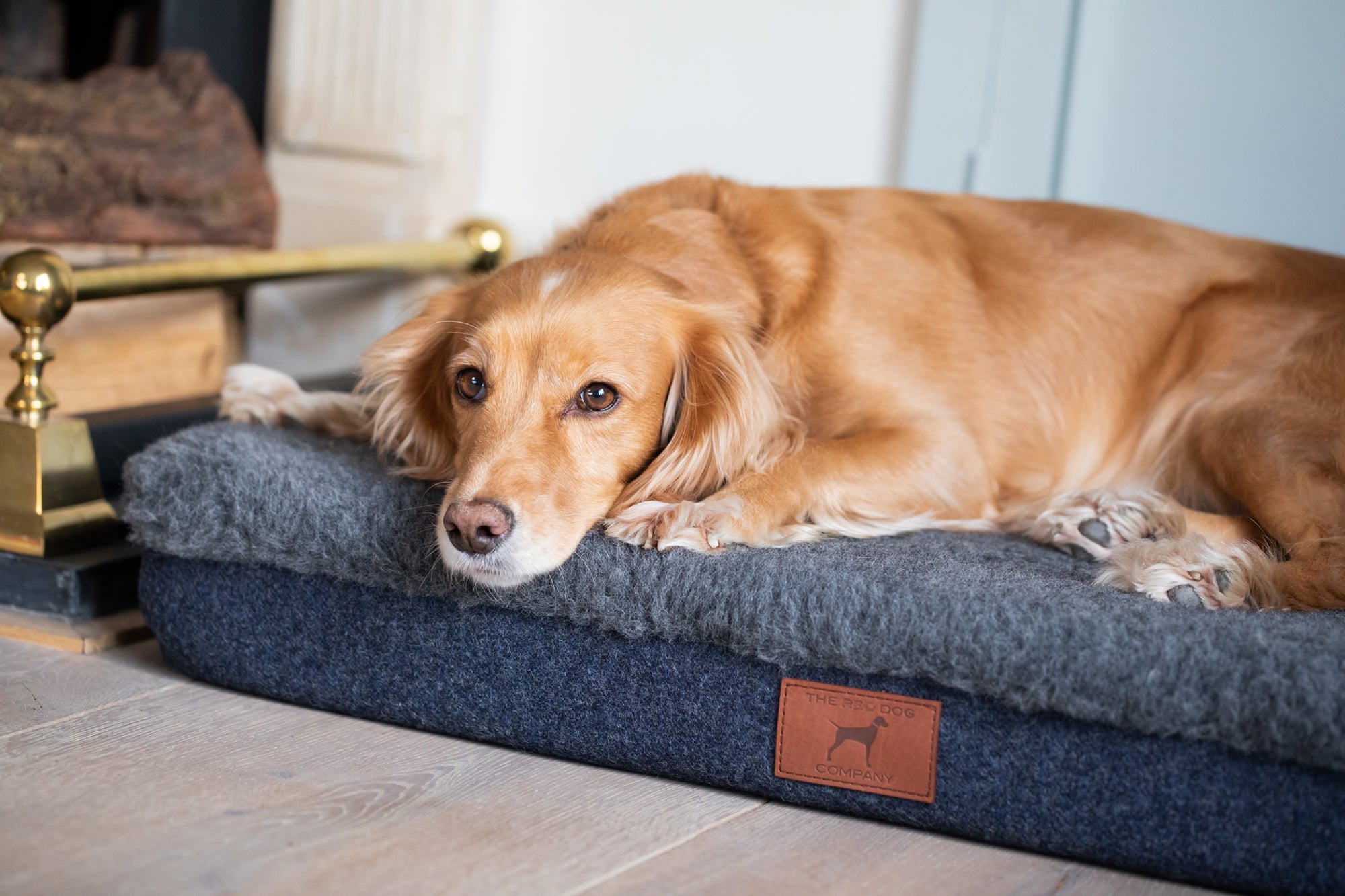 Cobalt Blue Bespoke Dog Mat