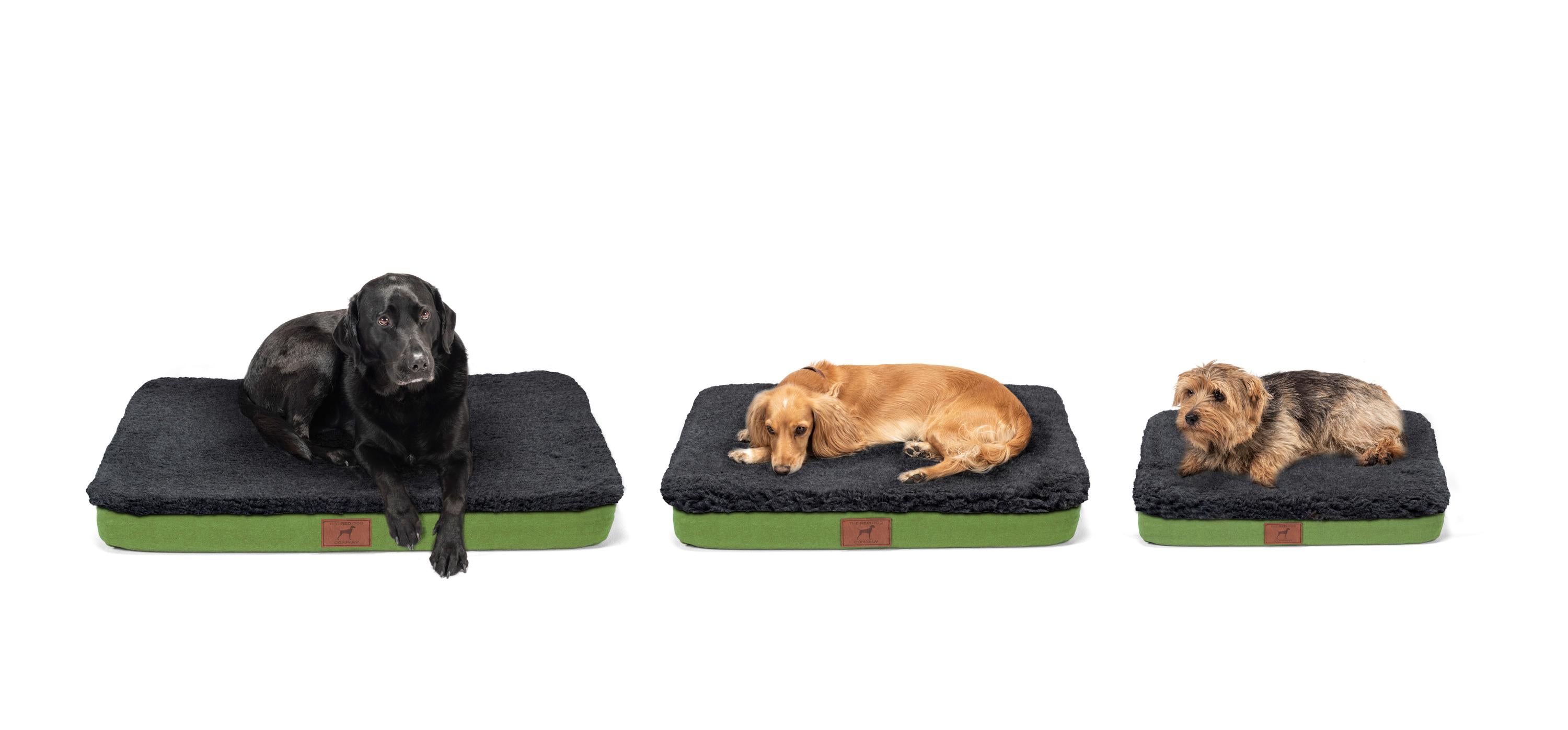 Apple Green Bespoke Dog Mat
