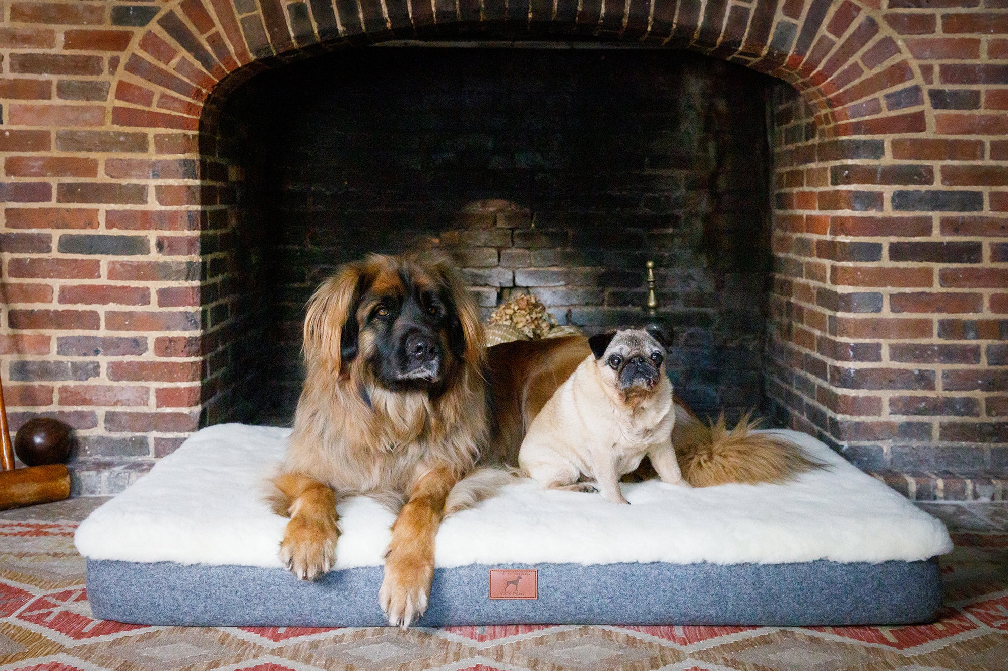 Apple Green Giant Dog Mat
