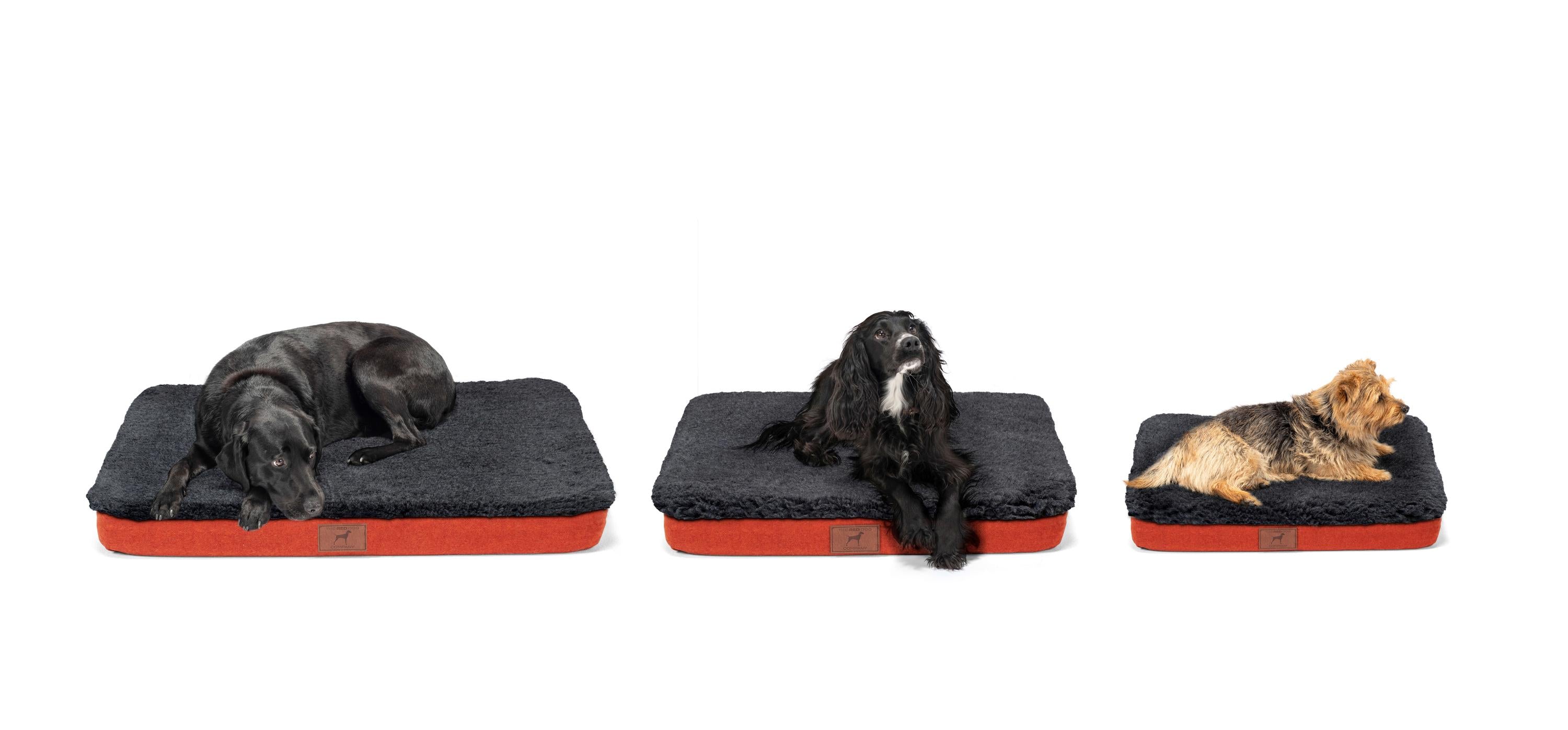 Fire Orange Bespoke Dog Mat