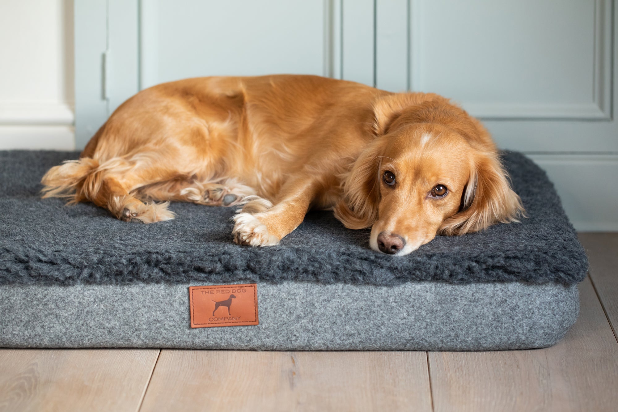 Slate Grey Bespoke Dog Mat