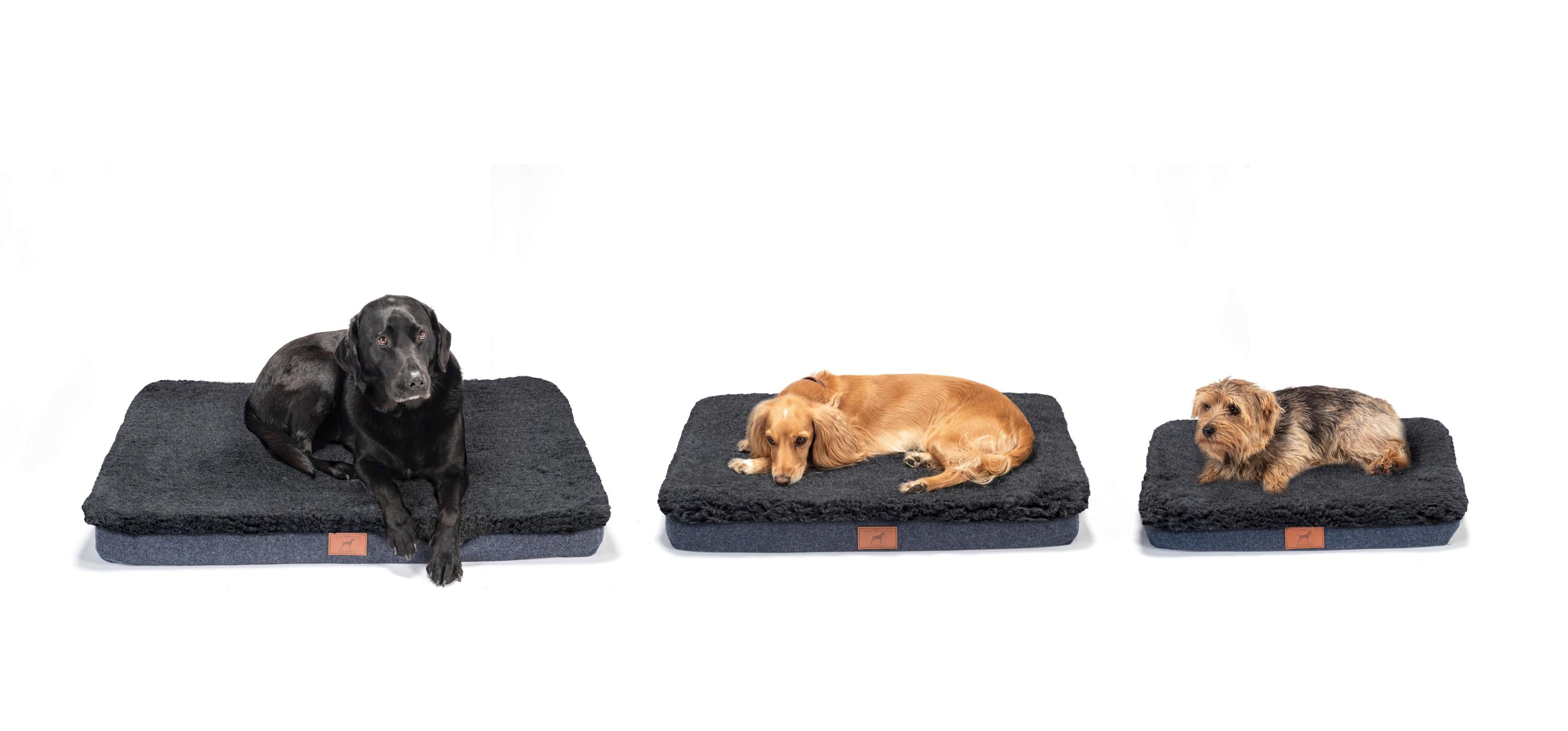 Cobalt Blue Bespoke Dog Mat