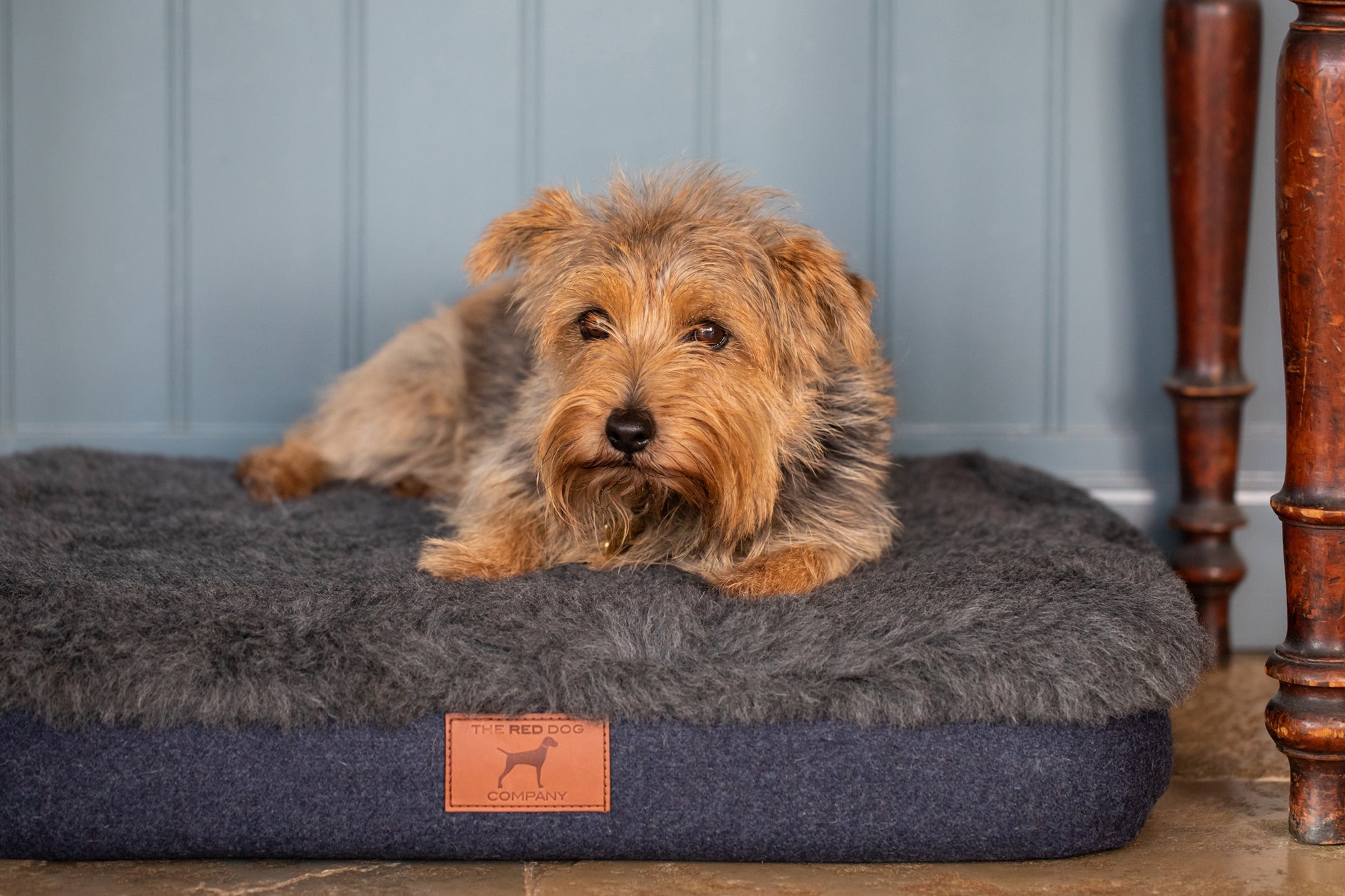 Cobalt Blue Bespoke Dog Mat