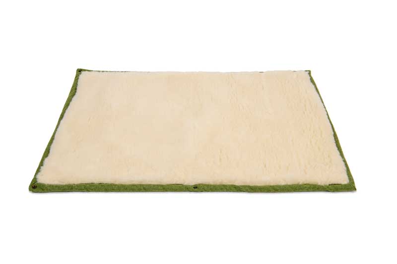 Apple Green Dog Roll Mat