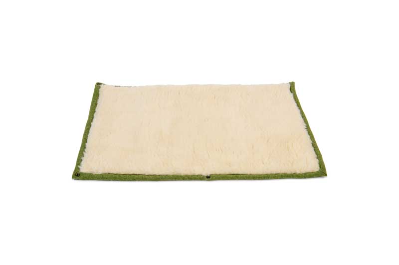 Apple Green Dog Roll Mat