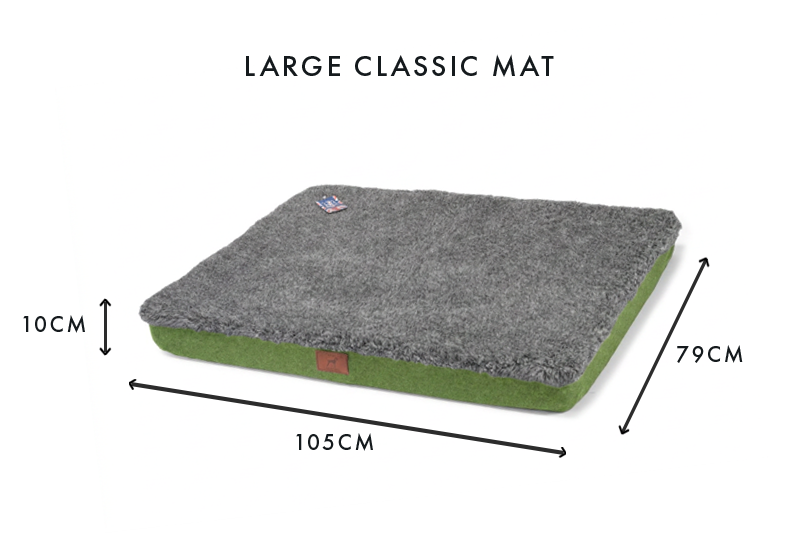 Apple Green Dog Mat