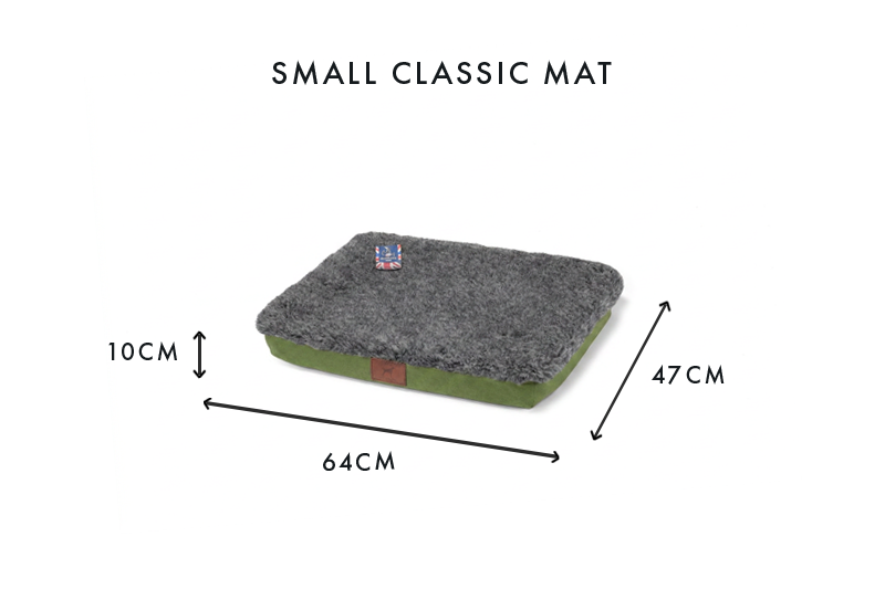 Apple Green Dog Mat