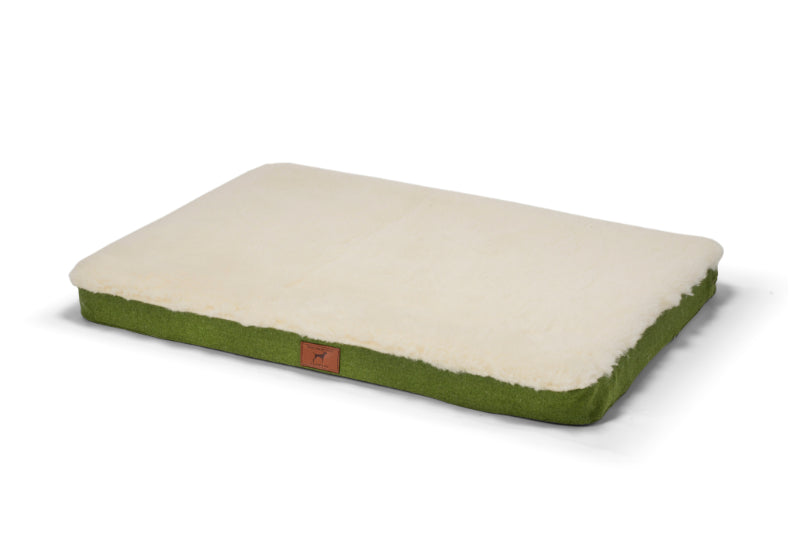 Apple Green Dog Mat