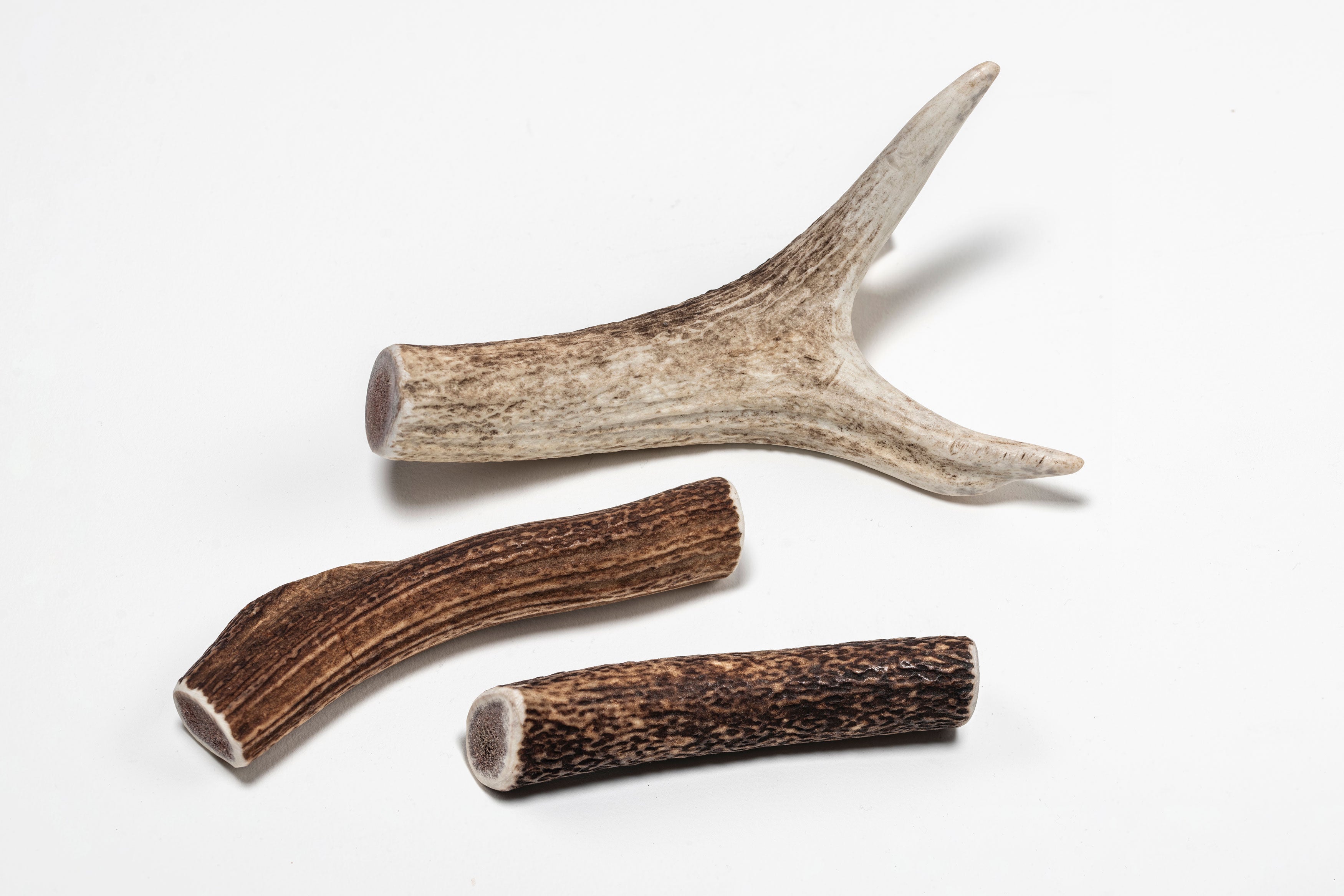 British Red Deer Antler Chew