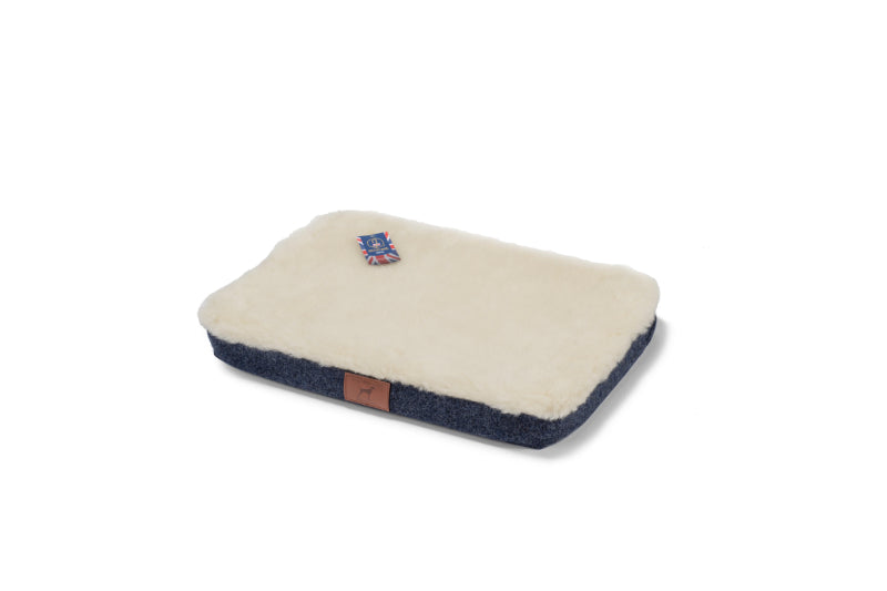 Cobalt Blue Dog Mat