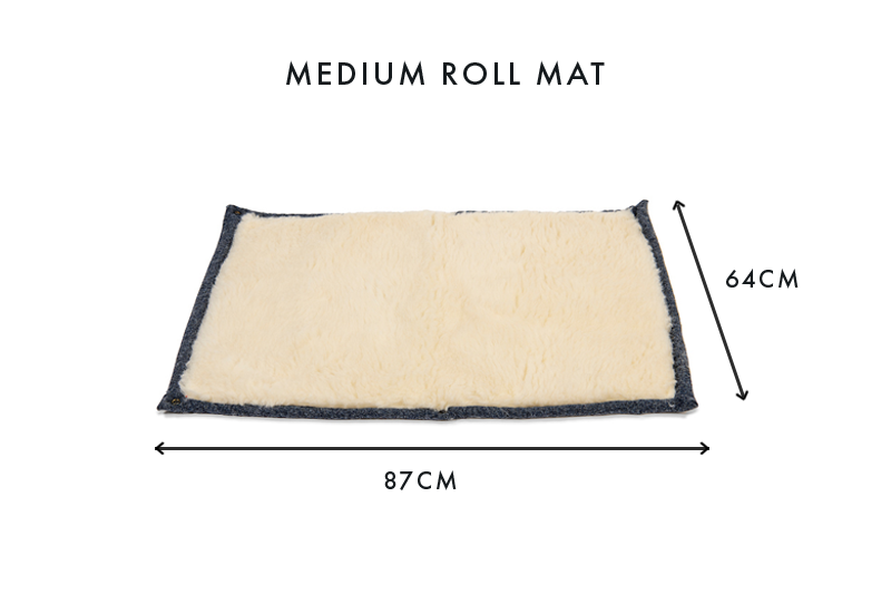 Cobalt Blue Dog Roll Mat