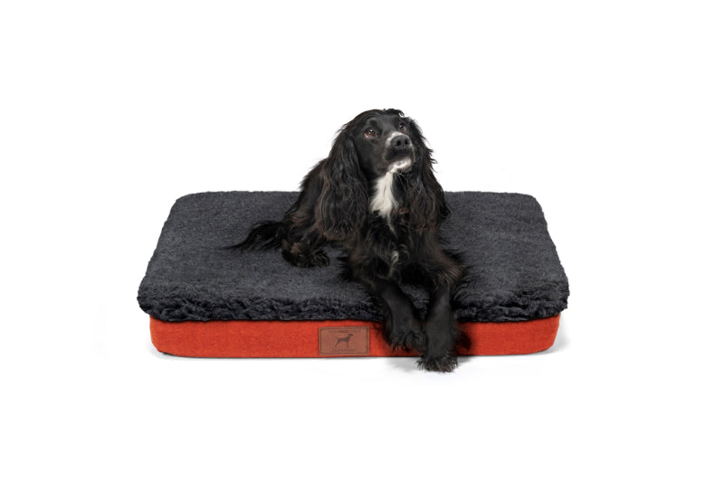 Fire Orange Dog Mat