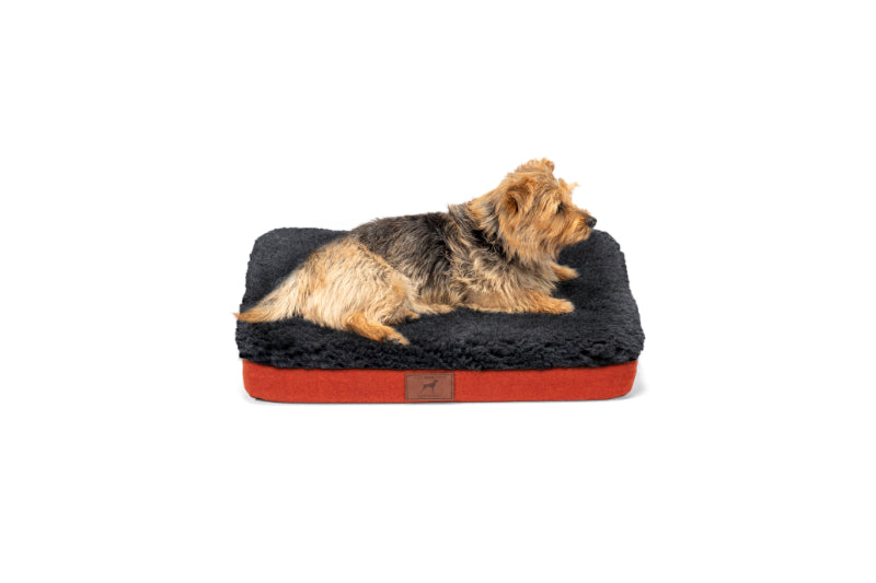 Fire Orange Dog Mat