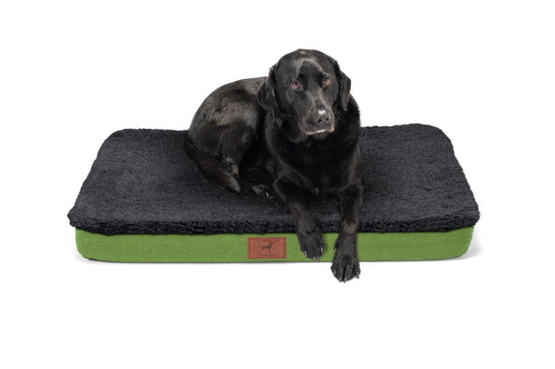Apple Green Dog Mat