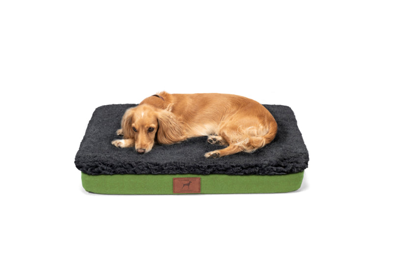 Apple Green Dog Mat