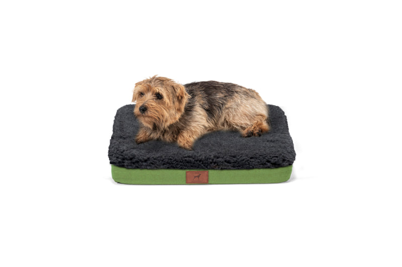 Apple Green Dog Mat