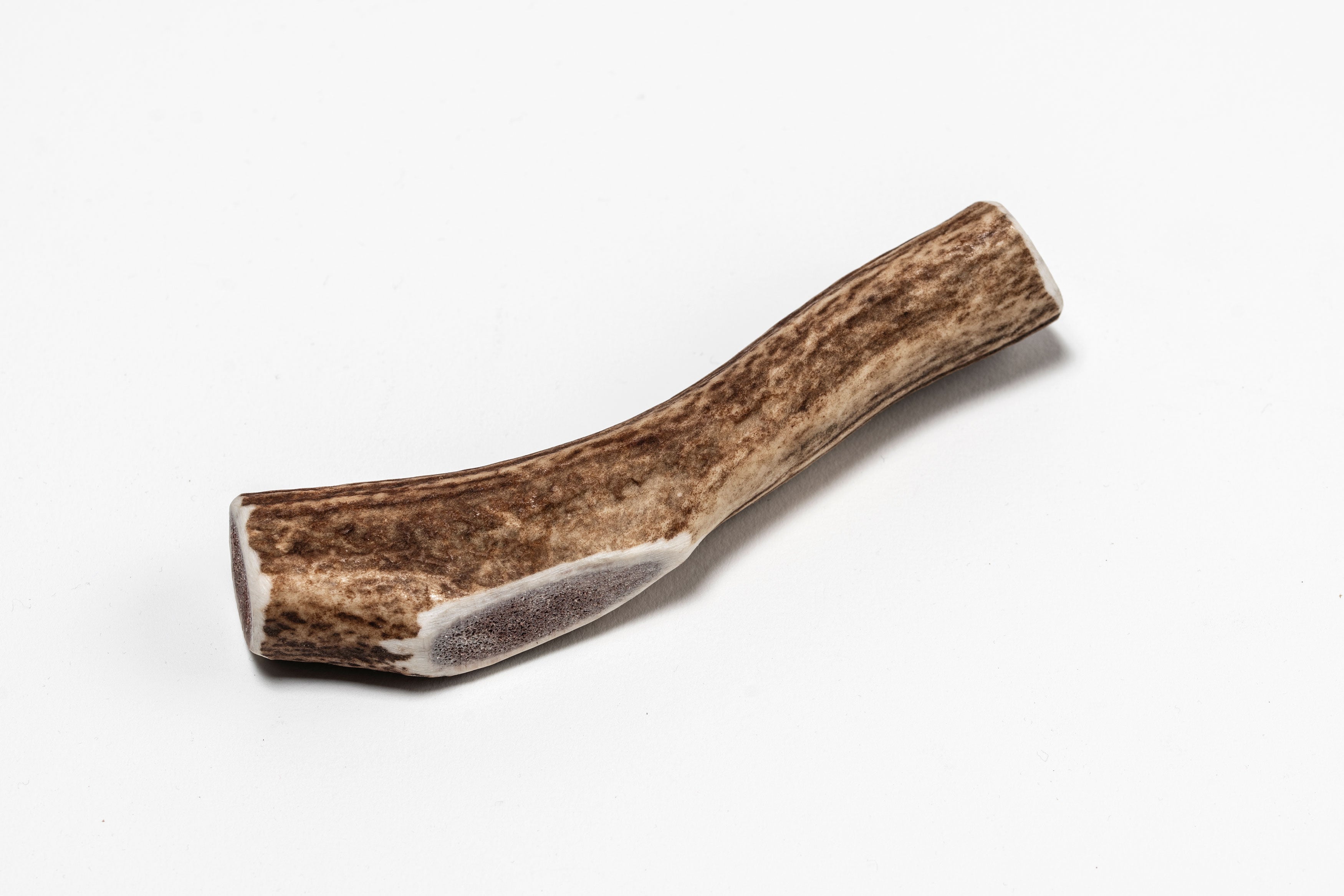 British Red Deer Antler Chew