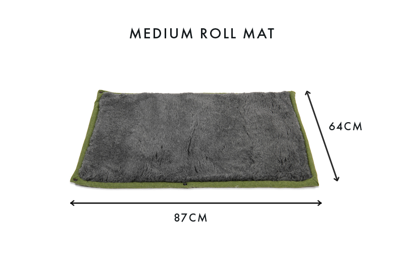 Apple Green Dog Roll Mat