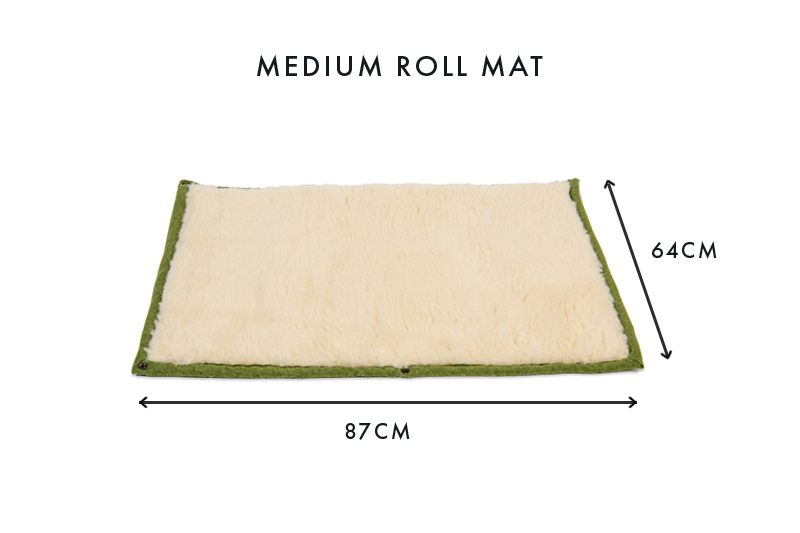 Apple Green Dog Roll Mat