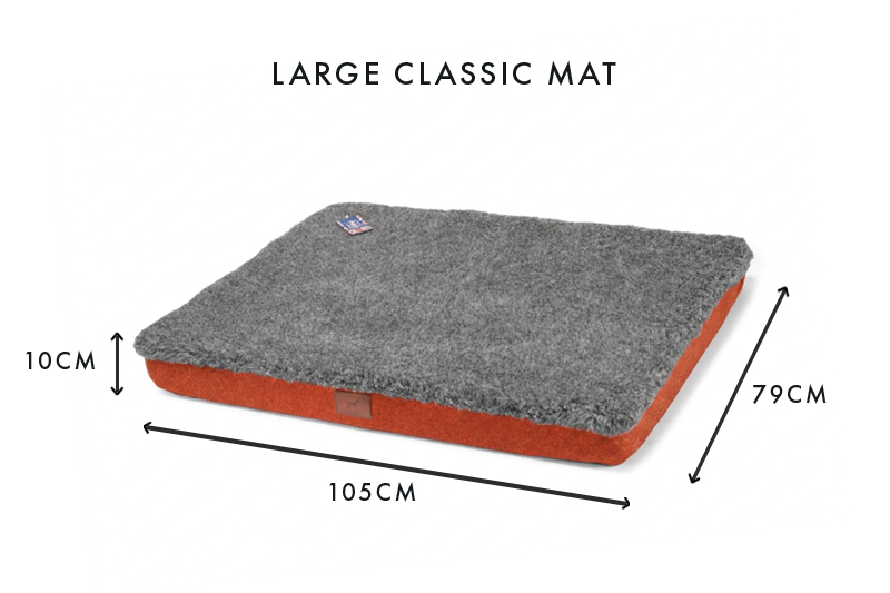 Fire Orange Dog Mat
