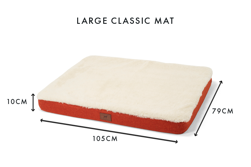 Fire Orange Dog Mat