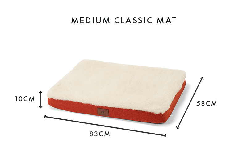 Fire Orange Dog Mat