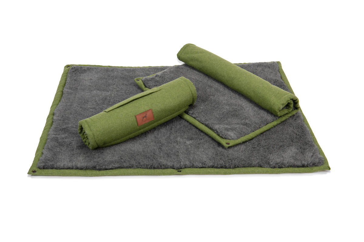 Apple Green Dog Roll Mat