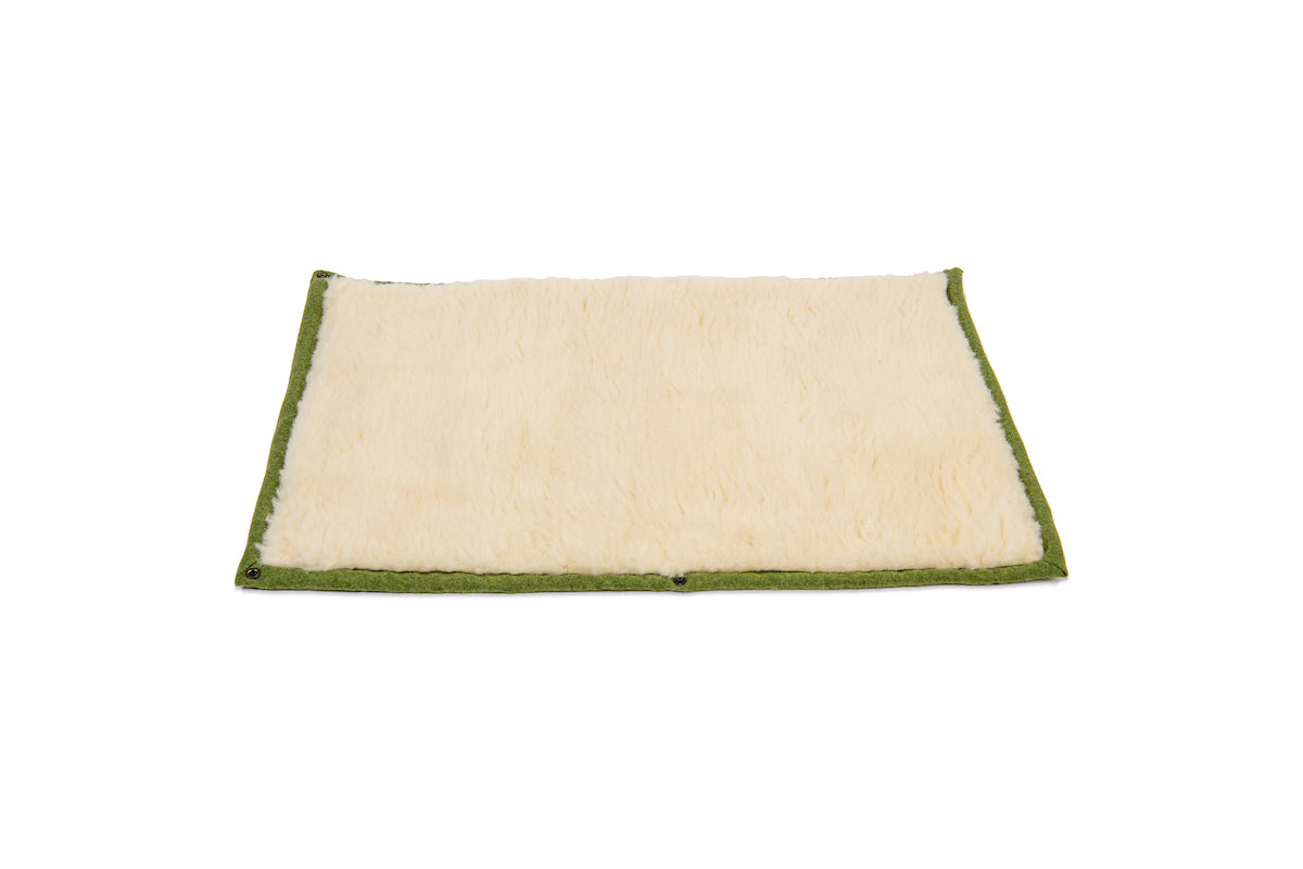 Apple Green Dog Roll Mat