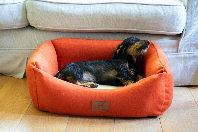 Fire Orange Classic Dog Bed