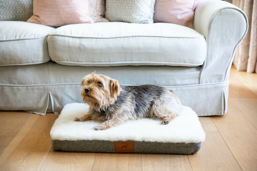 Slate Grey Dog Mat