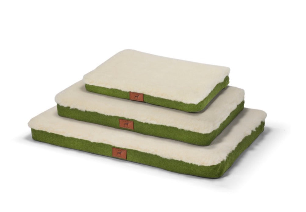 Apple Green Dog Mat