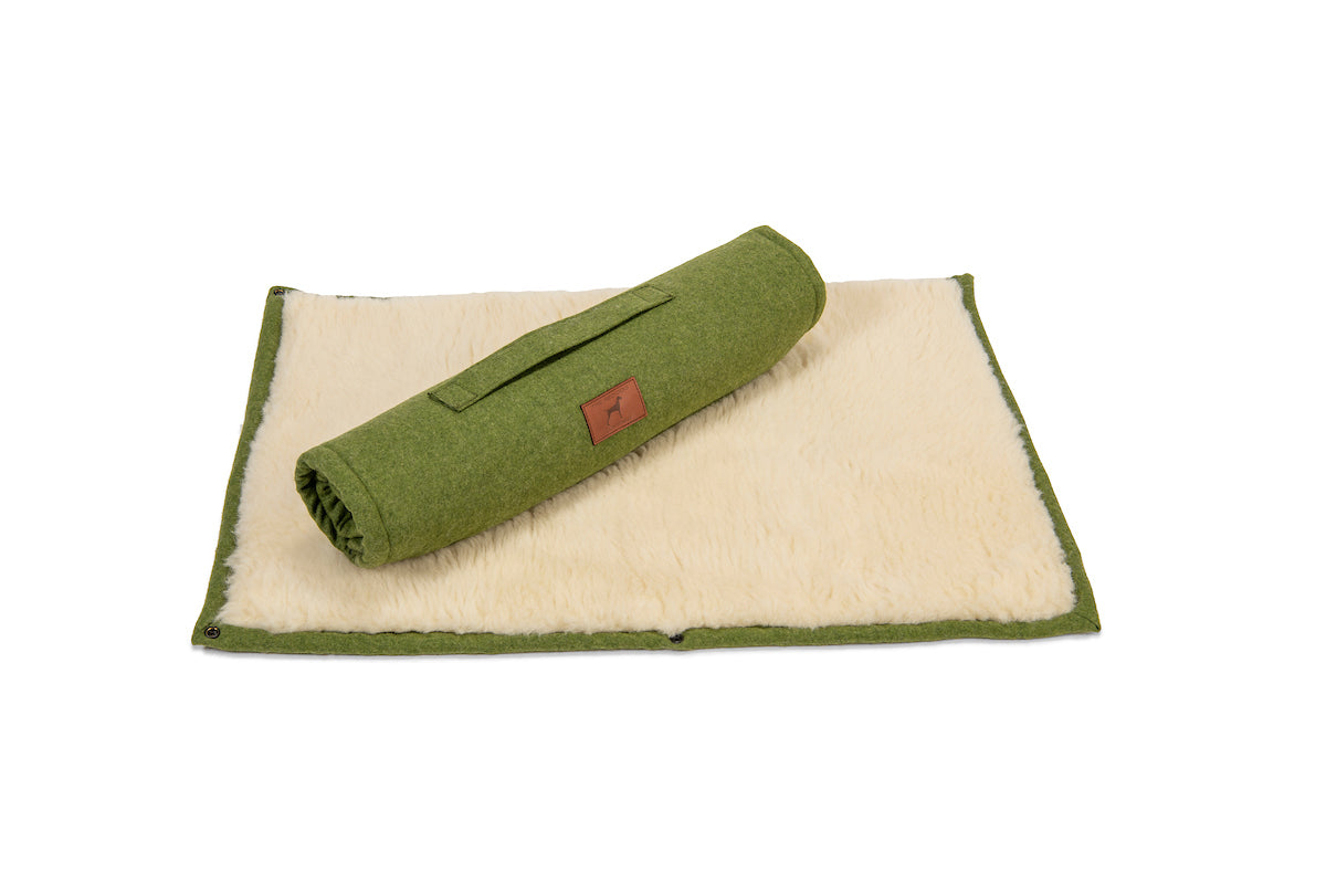 Apple Green Dog Roll Mat