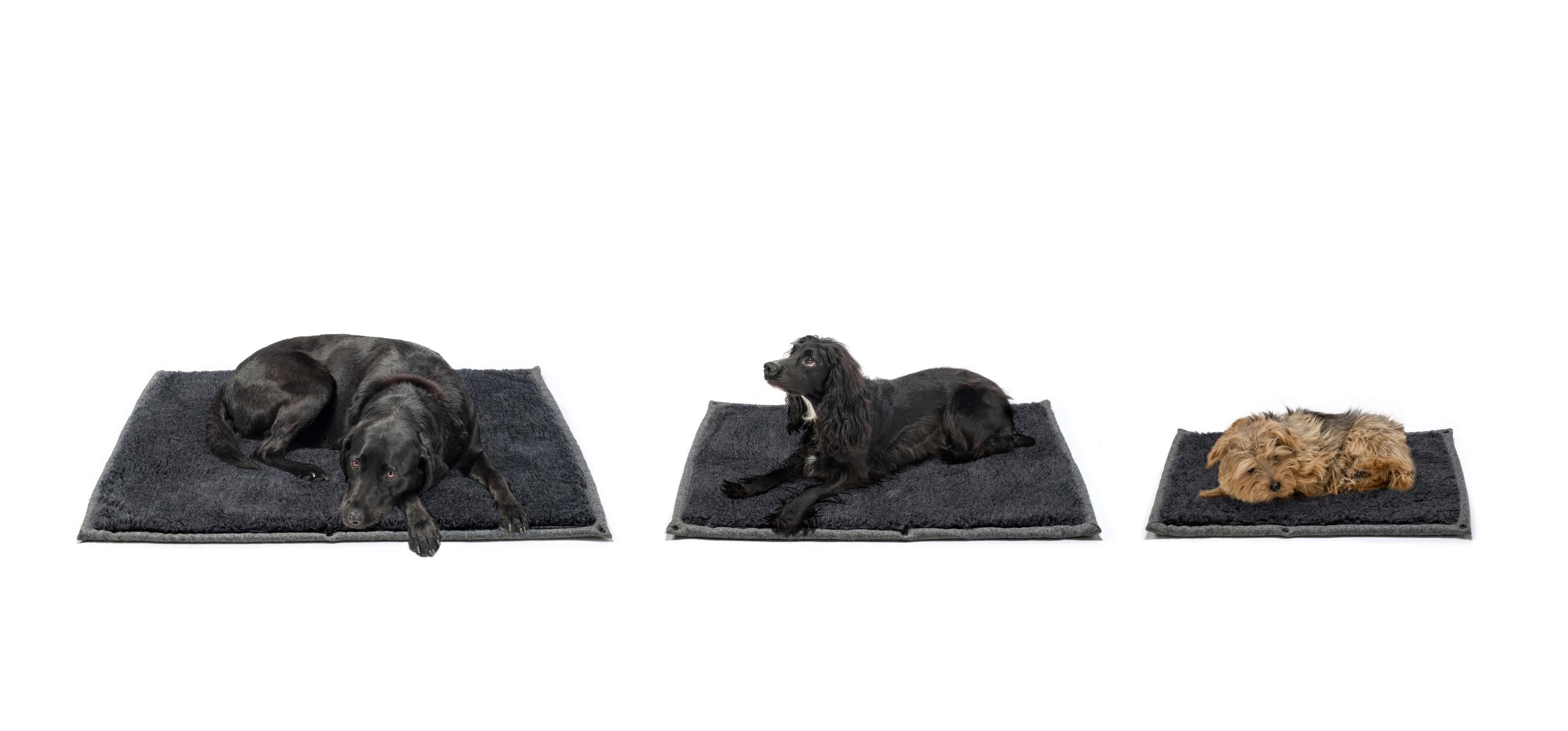 Slate Grey Dog Roll Mat