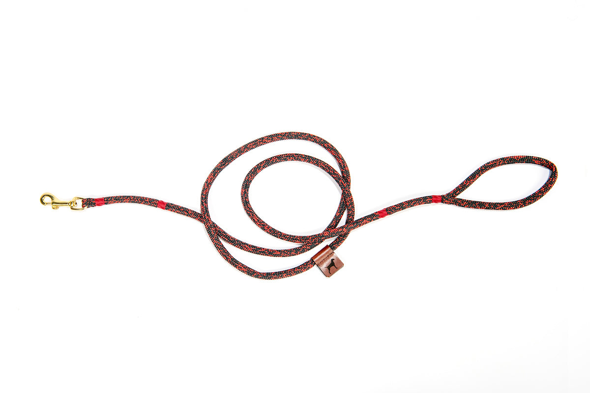 The Clip Lead