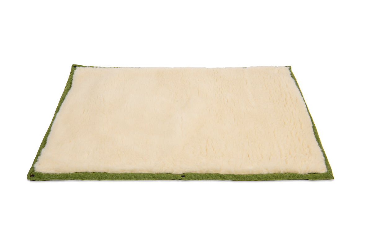 Apple Green Dog Roll Mat