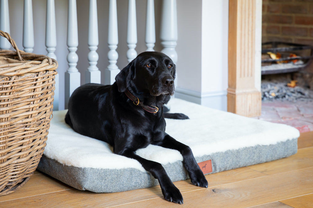 Slate Grey Dog Mat