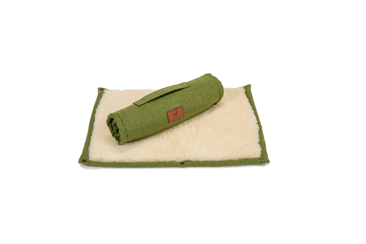 Apple Green Dog Roll Mat