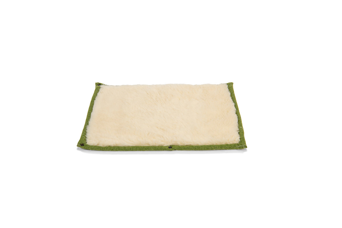 Apple Green Dog Roll Mat